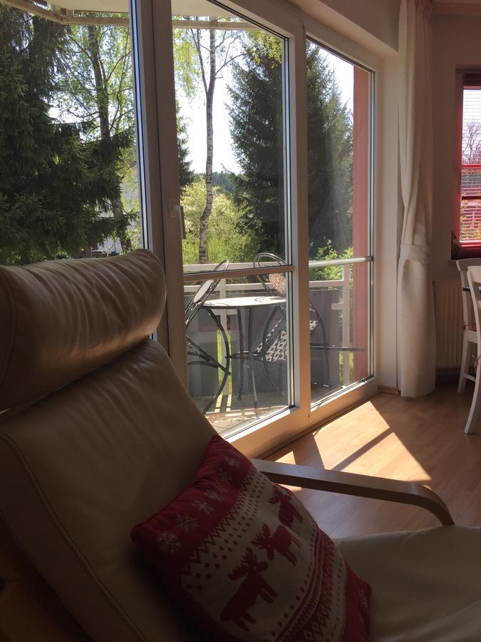 Harz Oase Lejlighed Braunlage Eksteriør billede